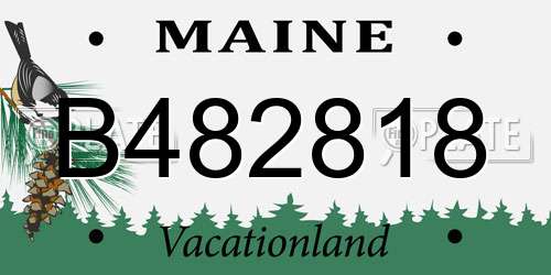 B482818 Maine License Plate