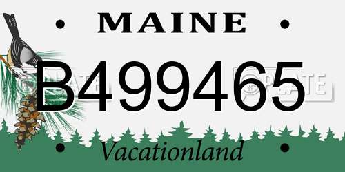 B499465 Maine License Plate