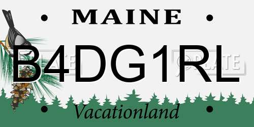 B4DG1RL Maine License Plate