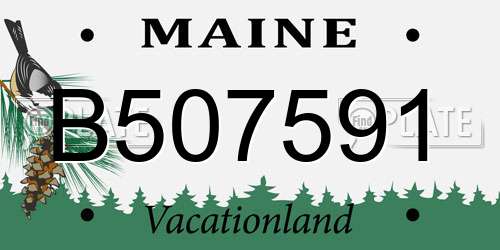 B507591 Maine License Plate