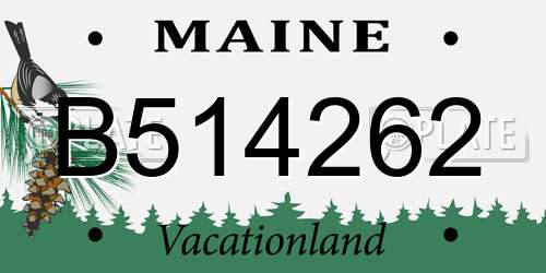 B514262 Maine License Plate