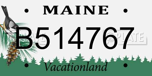 B514767 Maine License Plate