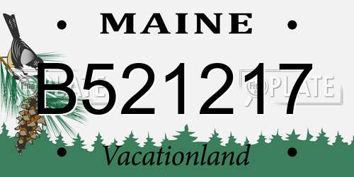 B521217 Maine License Plate
