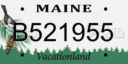 B521955 Maine License Plate