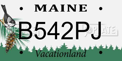 B542PJ Maine License Plate