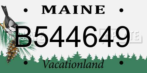 B544649 Maine License Plate