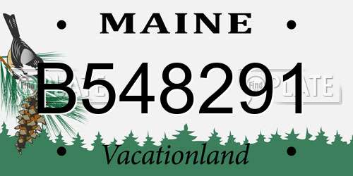 B548291 Maine License Plate