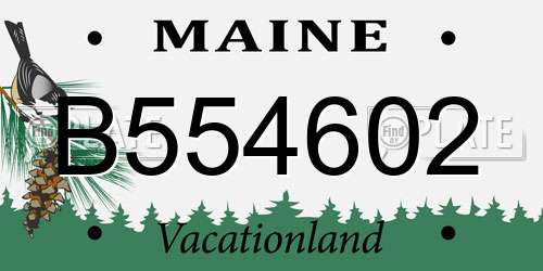 B554602 Maine License Plate
