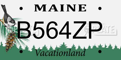 B564ZP Maine License Plate
