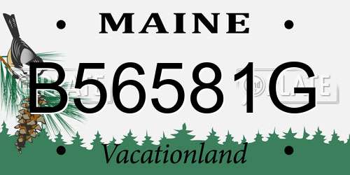 B56581G Maine License Plate