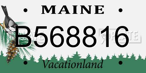 B568816 Maine License Plate