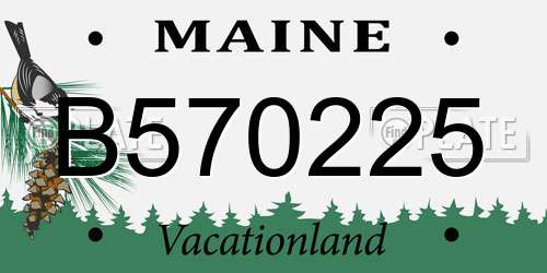 B570225 Maine License Plate
