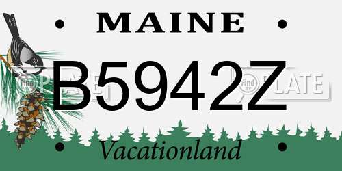 B5942Z Maine License Plate