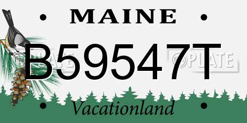 B59547T Maine License Plate
