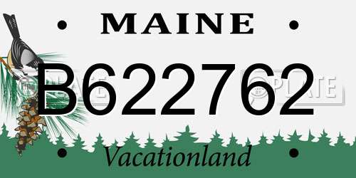 B622762 Maine License Plate