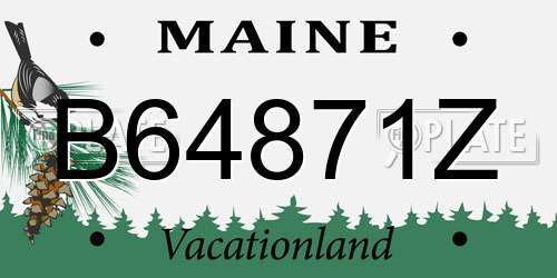 B64871Z Maine License Plate