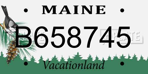 B658745 Maine License Plate