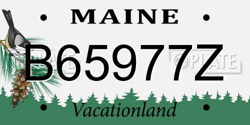 B65977Z Maine License Plate