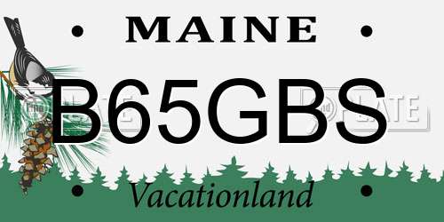 B65GBS Maine License Plate