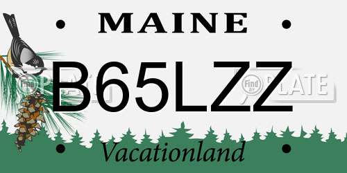 B65LZZ Maine License Plate