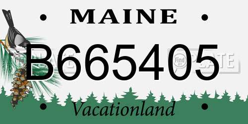 B665405 Maine License Plate