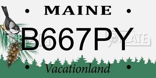 B667PY Maine License Plate