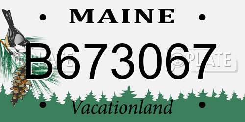 B673067 Maine License Plate