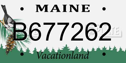 B677262 Maine License Plate