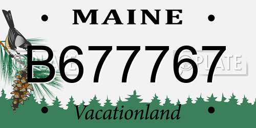 B677767 Maine License Plate