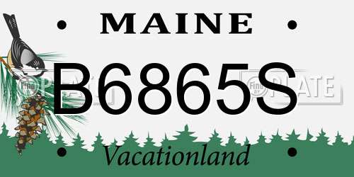 B6865S Maine License Plate