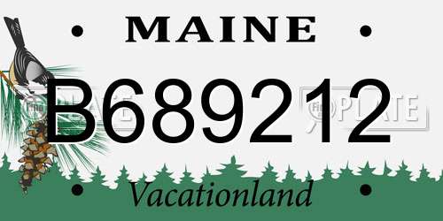 B689212 Maine License Plate
