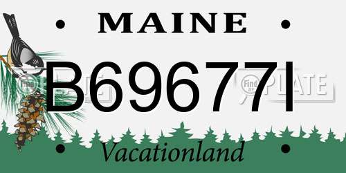 B69677I Maine License Plate