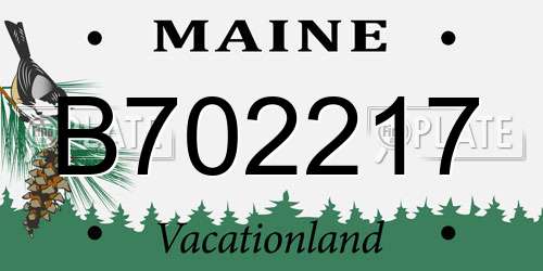 B702217 Maine License Plate