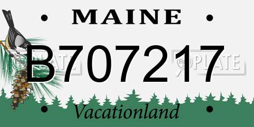 B707217 Maine License Plate
