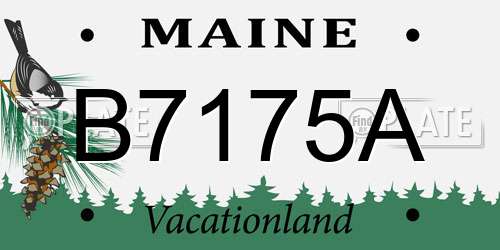 B7175A Maine License Plate