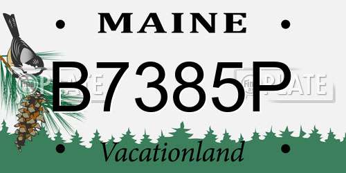 B7385P Maine License Plate
