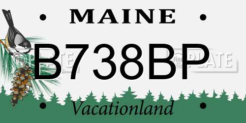 B738BP Maine License Plate
