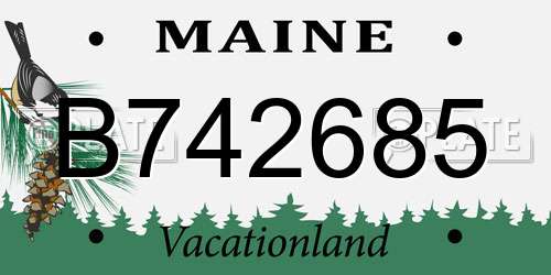 B742685 Maine License Plate