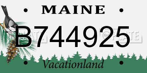 B744925 Maine License Plate
