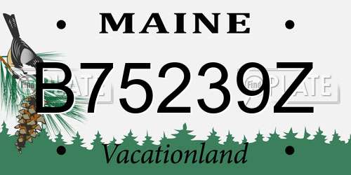 B75239Z Maine License Plate
