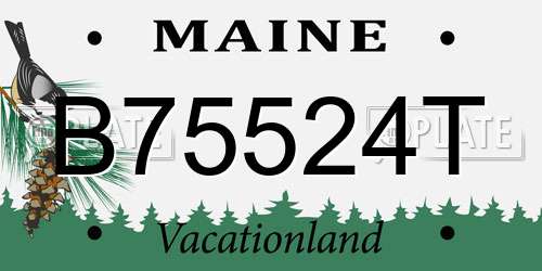 B75524T Maine License Plate
