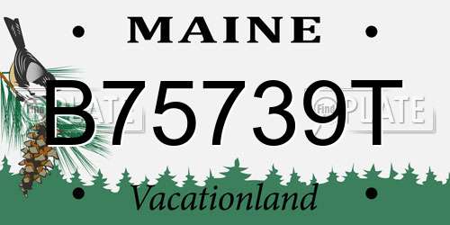 B75739T Maine License Plate