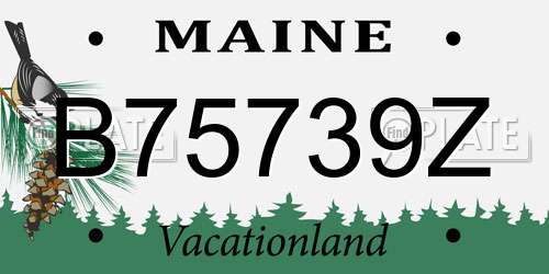 B75739Z Maine License Plate