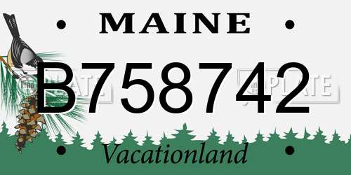 B758742 Maine License Plate