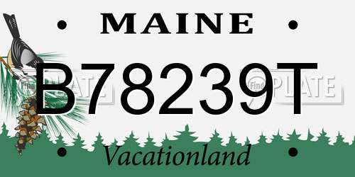B78239T Maine License Plate