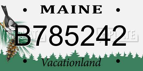 B785242 Maine License Plate