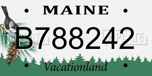 B788242 Maine License Plate