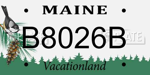 B8026B Maine License Plate