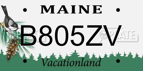 B805ZV Maine License Plate