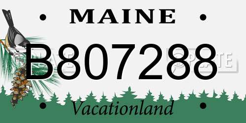 B807288 Maine License Plate